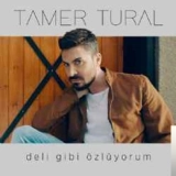 Тамер Турал