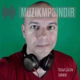Толга Гулен