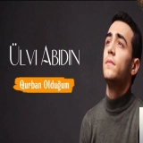 Улви Абидин