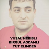 Вусал Хебибли