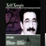 Xелил Xемгин