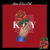 Юнус Емре Гок