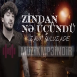 Заур Qулузаде